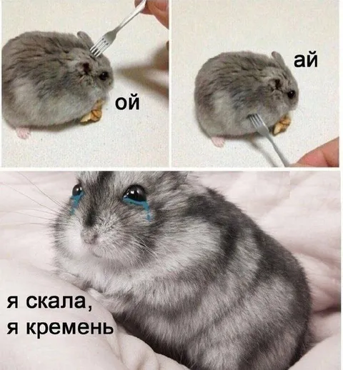 Я скала, я кремень