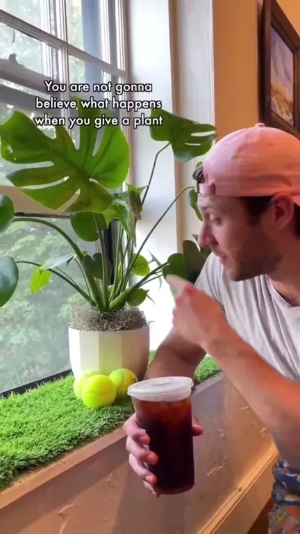 Giving a Plant Coffee Instead of Water