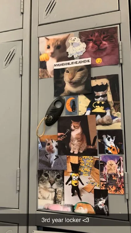 Third Year Cat Locker