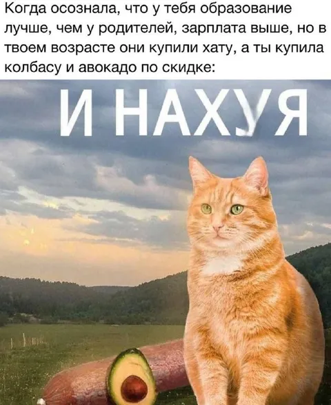 Образование лучше, а живёшь хуже