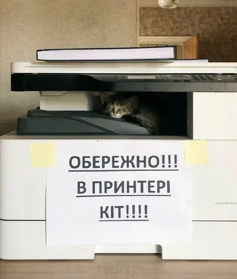 Кіт у принтері