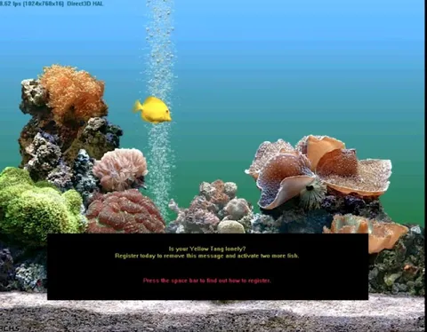 Lonely Yellow Tang Registration