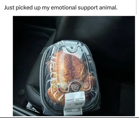 Emotional Support Rotisserie Chicken