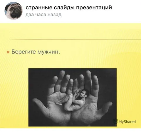 Берегите мужчин