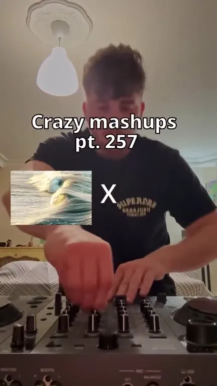 Crazy Ocean Seagull Mashup