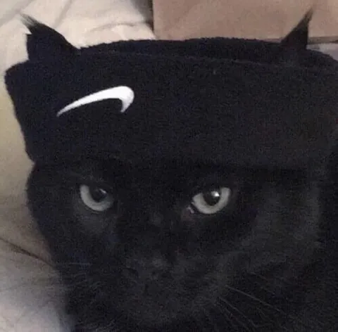 Чёрный кот с логотипом Nike