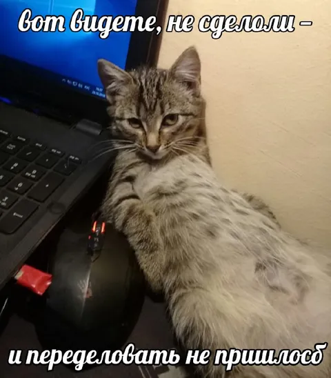 Вот видете, не сделали