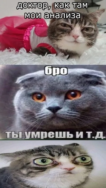 Доктор, как там мои анализы