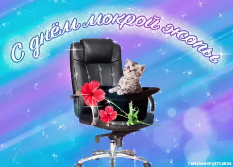 С днём мокрого носа