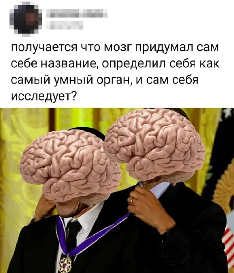 Мозг сам себя исследует