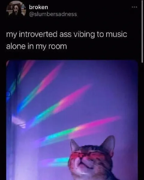 Introvert Vibing Alone