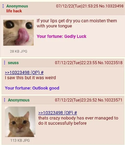 Cat Tongue Life Hack