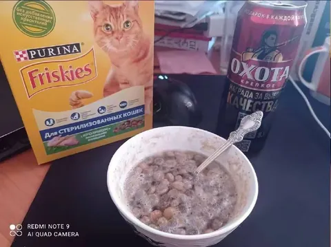 Кошачий завтрак из консервов