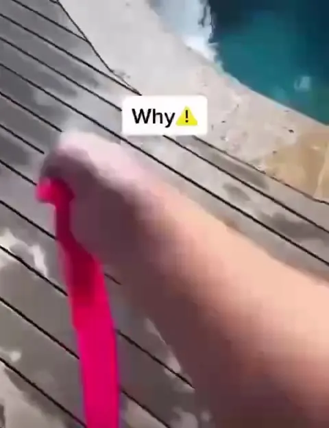 Why Did the Balloon Explode