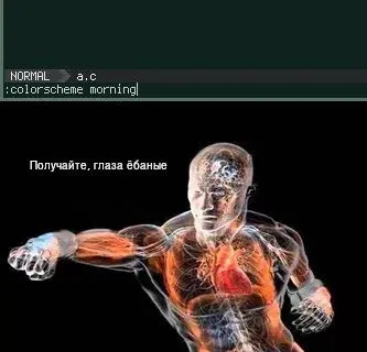Получайте, глаза ебаные