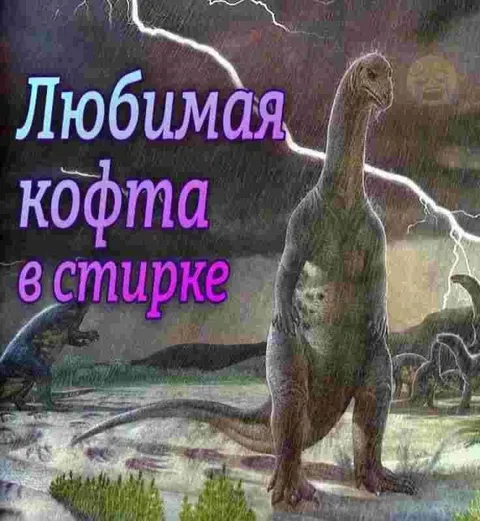 Любимая кофта в стирке