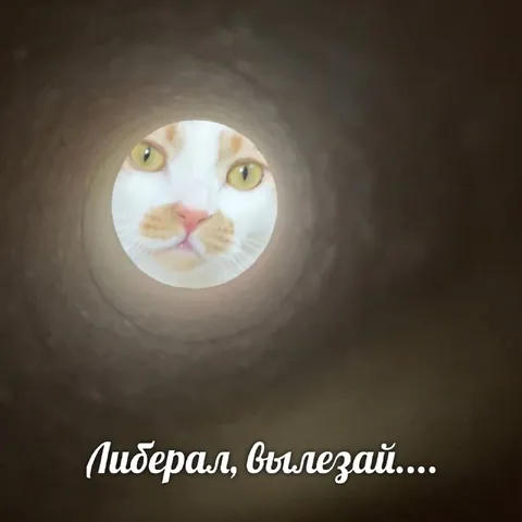Либерал, вылезай из норы