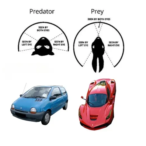 Predator Sees Cheap Car, Prey Sees Supercar