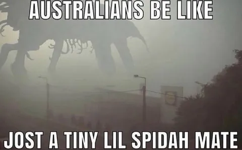 Australians Be Like Tiny Spider
