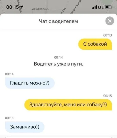 Гладить водителя или собаку