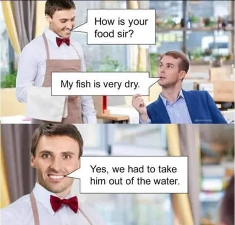 Fish Taken Out of Water