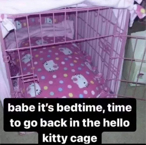 Back in the Hello Kitty Cage