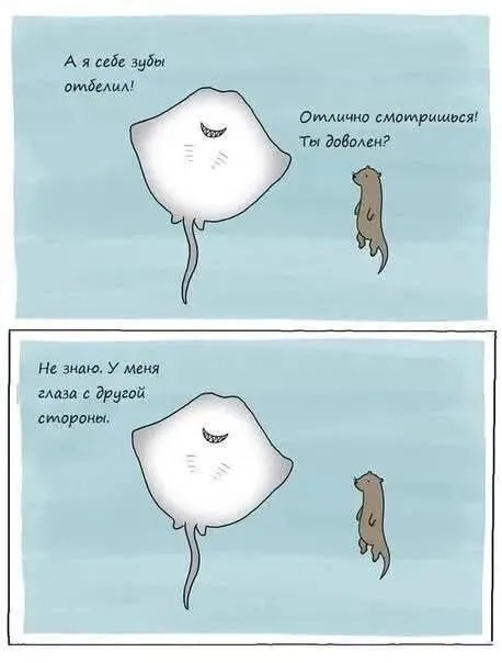 Скат отбелил зубы