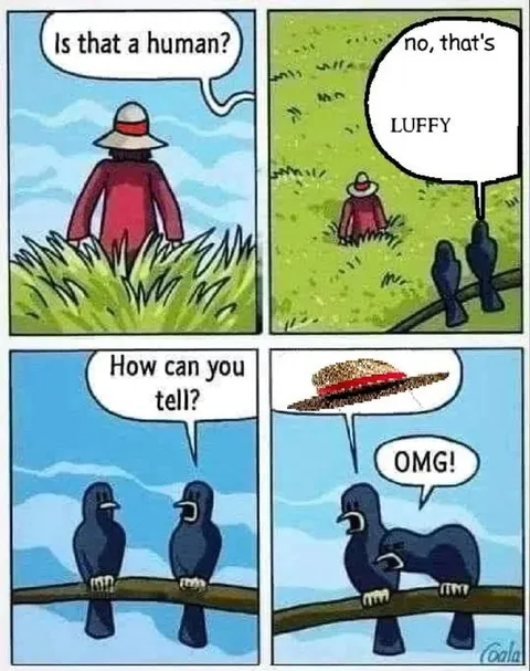 Birds Identify Luffy