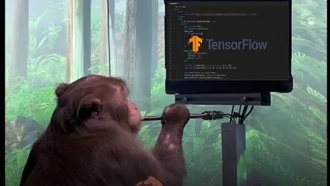 Monkey Coding TensorFlow