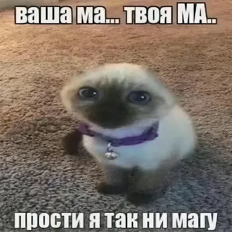 Ваша ма, твоя ма