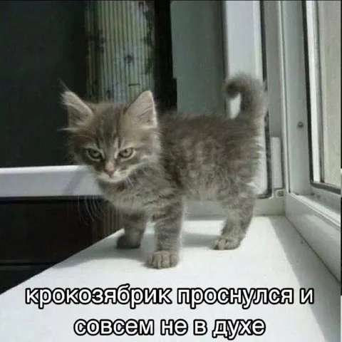 Крокозябрик проснулся не в духе