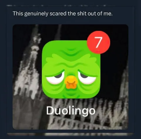 Terrifying Duolingo Reminder