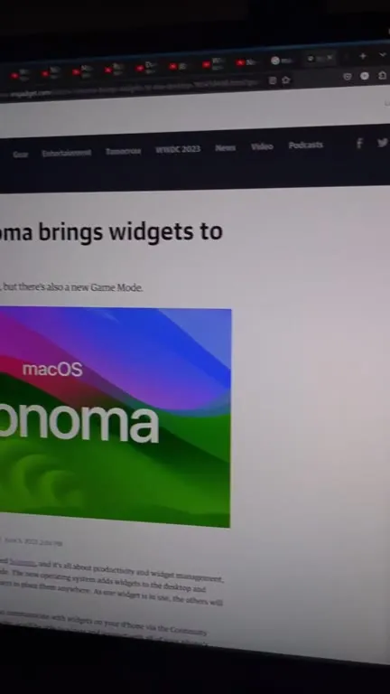 macOS Sonoma Widgets in 2005