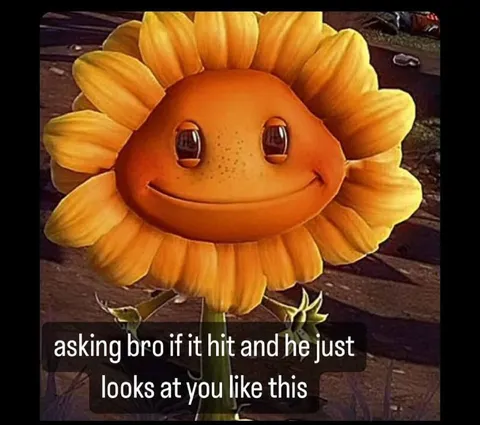 Smiling Sunflower Stares Back