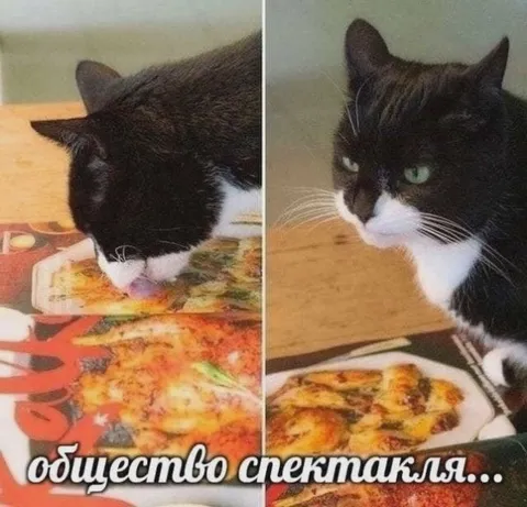 Общество спектакля