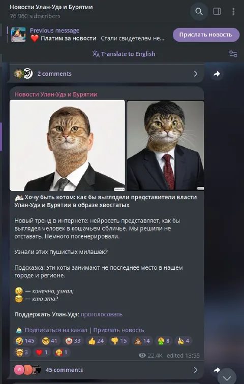 Коты-представители власти Бурятии