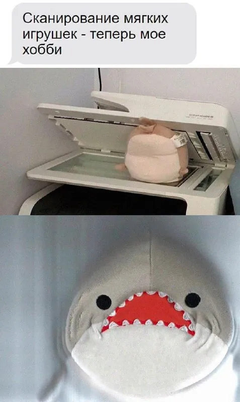 Сканирование мягких игрушек
