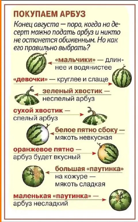 Как выбрать сладкий арбуз
