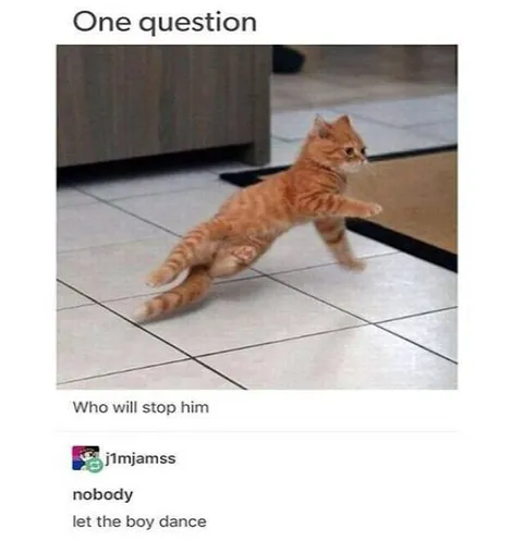 Let the Boy Dance