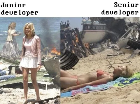 Junior Developer vs Senior Developer
