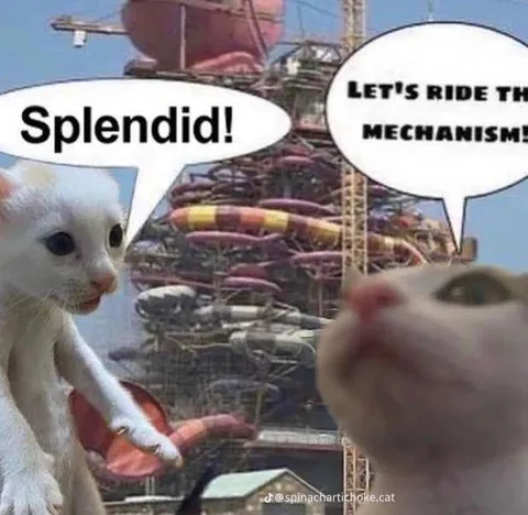 Cats Ride the Amusement Park