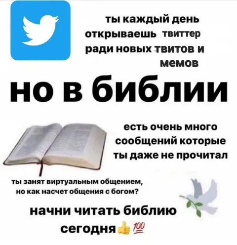 Ты каждый день открываешь твиттер