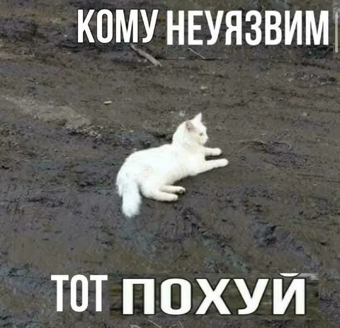 Кому неуязвим, тот похуй