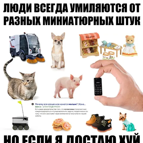 Люди умиляются миниатюрным штукам