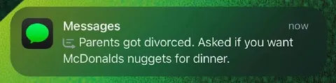 Divorced Parents Offer Nuggets