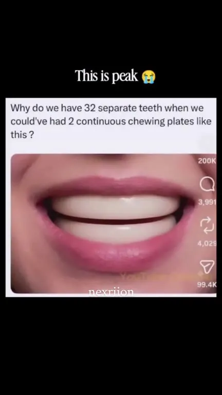 Continuous Chewing Plates