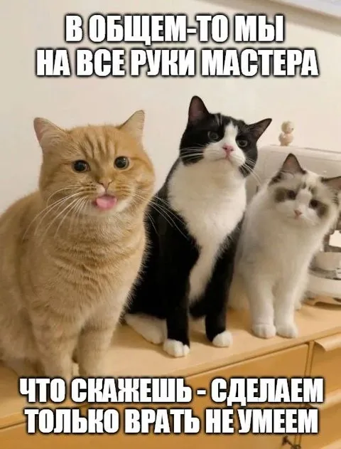 На все руки мастера, кроме врать