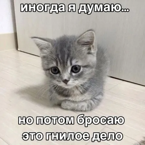 Иногда я думаю, но бросаю