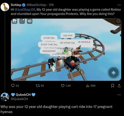 Roblox Propaganda Protest