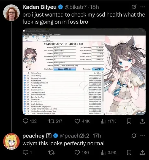 SSD Health Check Goes Wrong